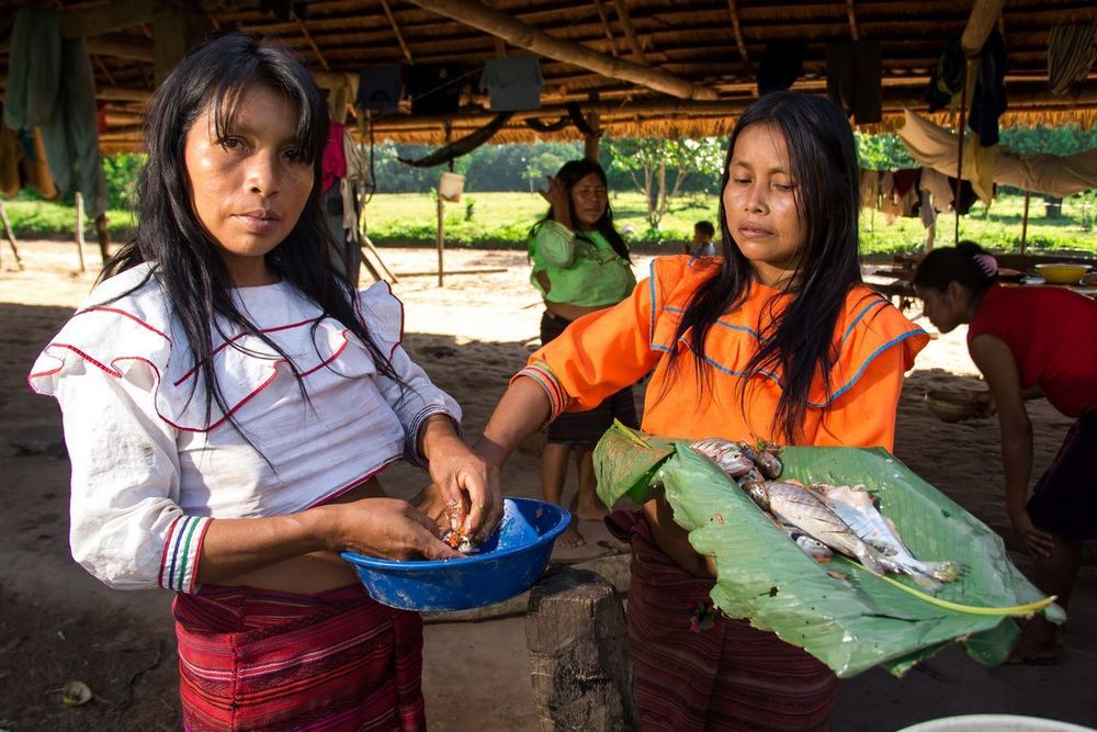 Indígenas amazónicos se unen para enfrentar la | chirapaq.org.pe
